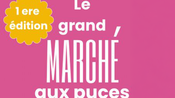 Grand Marché aux puces